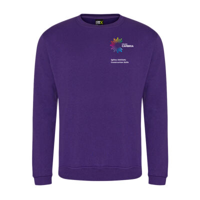 Construction Skills - Pro polo - Pro RTX Pro Sweatshirt - Pro RTX Pro Sweatshirt Thumbnail