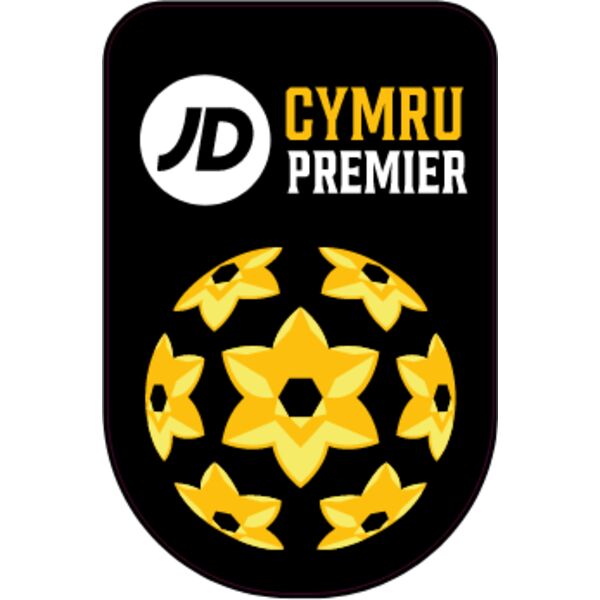 cymru premier new patch 24 c print Thumbnail
